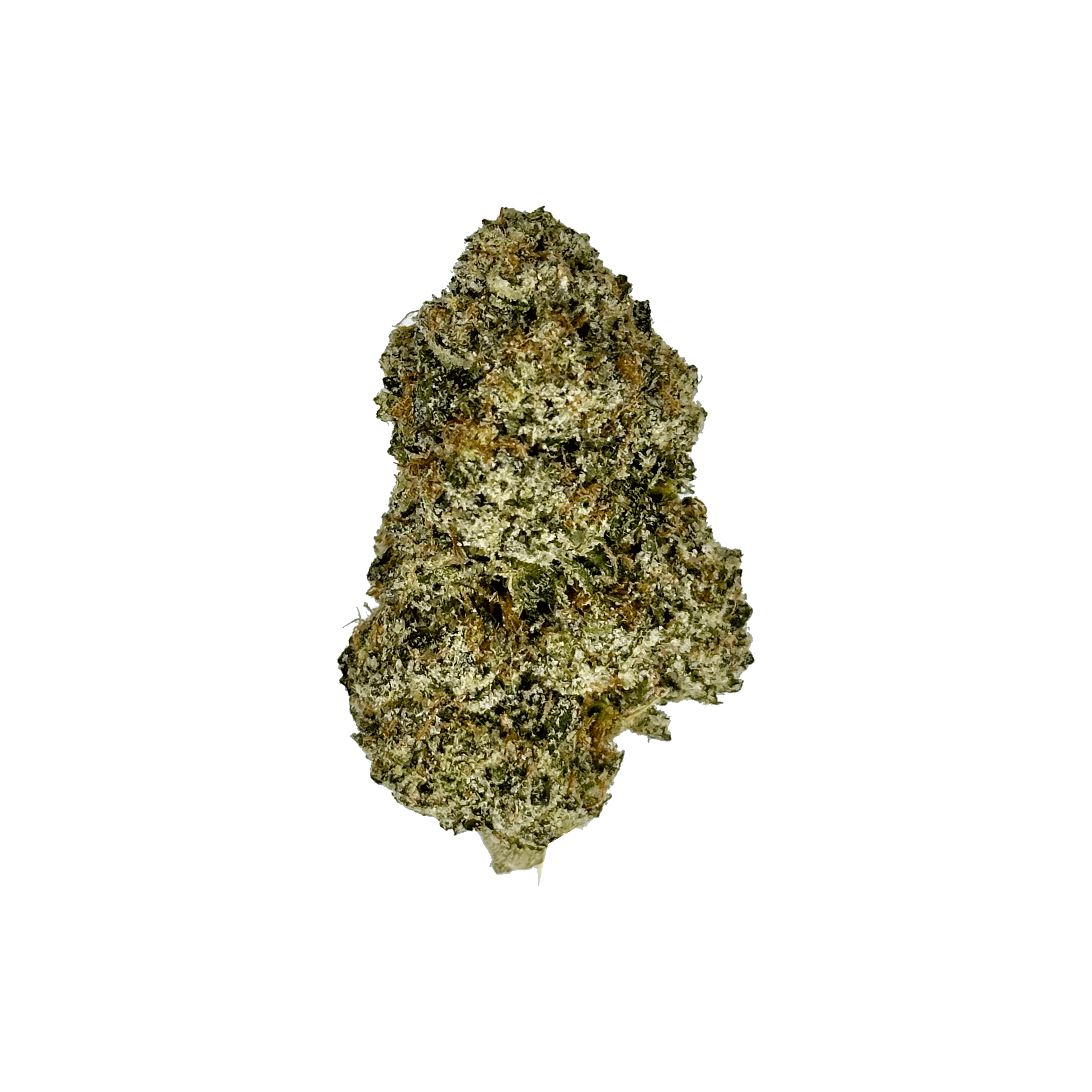 Indoor Archive Runtz strain - THCA Flower